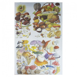 Papier do decoupage 50x70cm calambour CAL066F grzyby - sklep plastyczn