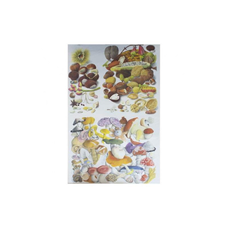 Papier do decoupage 50x70cm calambour CAL066F grzyby - sklep plastyczn