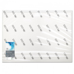 Winsor&Newton professional watercolor paper cold pressed 56x76cm 640g