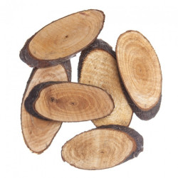 DP Craft plastry drewna owal 5-8cm 6szt- sklep plastyczny szał dla pla