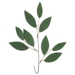 DP Craft deco eucaliptus twig 30cm