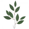 DP Craft deco eucaliptus twig 30cm