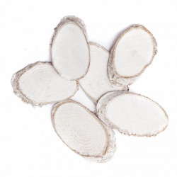 DP Craft wood slices white 5-8 cm 6szt