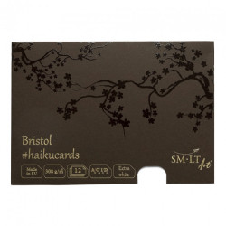 Haiku SM-LT Bristol cards in a box 308g 12 sheets 14.8x21cm