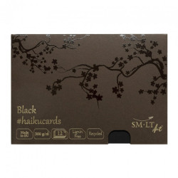 Haiku SM-LT black kartki w pudełku 300g 12ark 14.8x21cm - sklep plasty