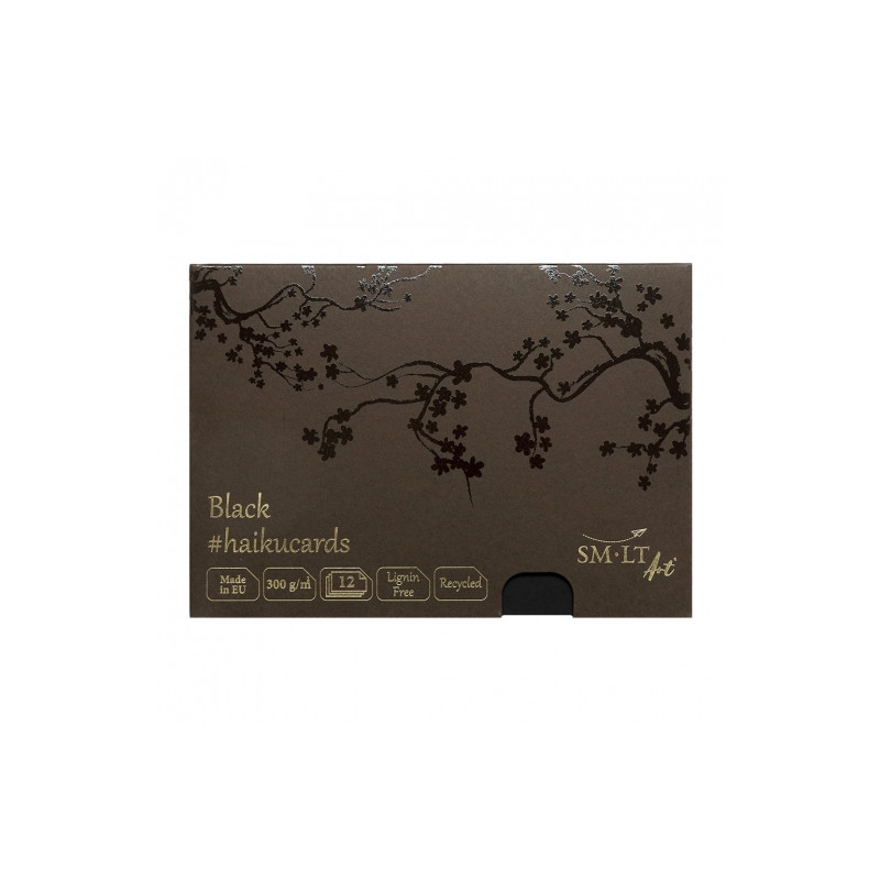 Haiku SM-LT black cards in a box 300g 12 sheets 14.8x21cm