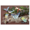 Clairefontaine origami insect decor 10x10cm, 15x15cm, 20x20cm 70g shee