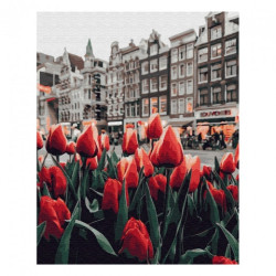 Brushme numerowanka 40x50cm 24 kol amsterdamskie tulipany malowanie po