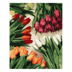 Brushme numerowanka 40x50cm 24 kol kolorowe tulipany malowanie po nume