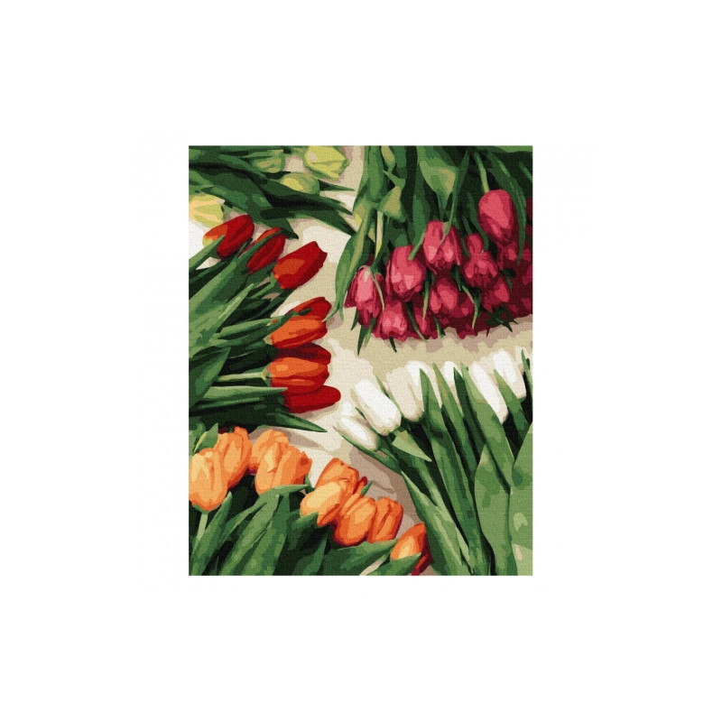 Brushme numerowanka 40x50cm 24 kol kolorowe tulipany malowanie po nume