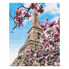 Brushme numerowanka 40x50cm 24 kol magnolia w Paryżu malowanie po nume