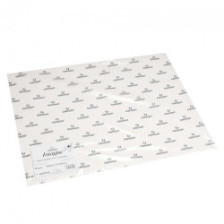 Canson mix media imagine paper 200g 10 sheets 50x65cm