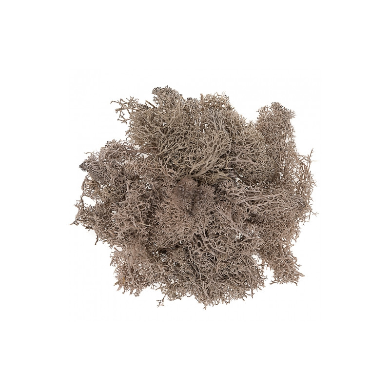 Dp Craft brown moss 30g