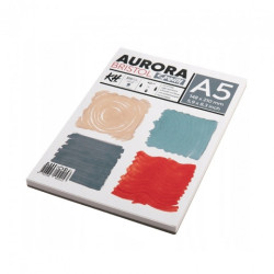 Aurora bristol smooth gładki blok 300g 20ark - sklep plastyczny - szał