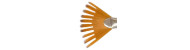 Raphael symbiose fan comb 8071 brushes synthetic