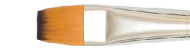 Raphael symbiose flat 8030 synthetic brushes