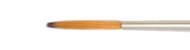 Raphael symbiose script fine liner 8020 synthetic brushes