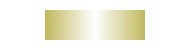 Kuretake clean color dot metallic double-sided marker pen