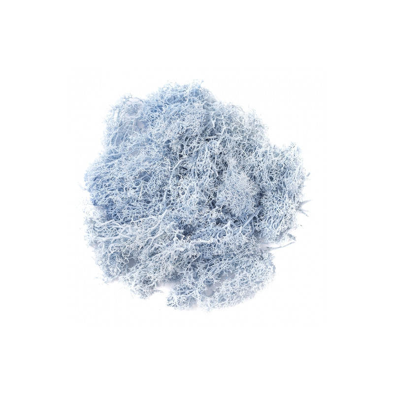 DP Craft moss 30g blue