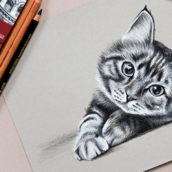Koh-i-noor set for monochrome drawing