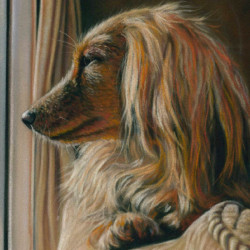 Unison Colour emma colbert animal zestaw suchych pasteli w sztyfcie 18