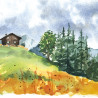 Schmincke horadam landscape basic edition zestaw akwareli 12 półkostek