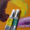 Winsor & Newton winton set of 10 oil paints 12 ml