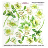 Sospeso foil with hellebore flowers print