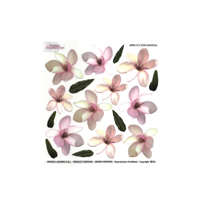 Sospeso Trasparente foil with magnolia flowers print