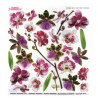 Sospeso Trasparente folia z nadrukiem kwiaty orchidea - sklep plastycz