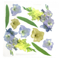 Sospeso Trasparente folia z nadrukiem kwiaty mieczyki - sklep plastycz