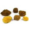Kereso set of 6 natural mix sponges