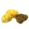 Kereso set of 3 natural sponges mix S301