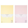 DP Craft paper set 220g A4 20 sheets