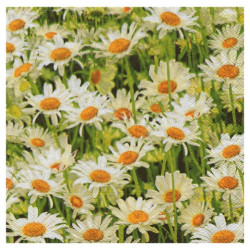 Serwetka do decoupage Maki 14-SLOG011301 pole stokrotek - sklep plasty