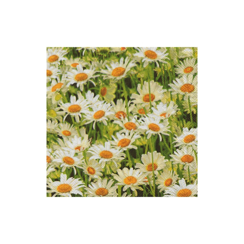 Serwetka do decoupage Maki 14-SLOG011301 pole stokrotek - sklep plasty