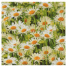 Serwetka do decoupage Maki 14-SLOG011301 pole stokrotek - sklep plasty