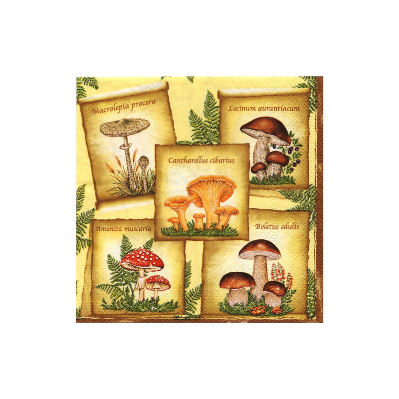 Serwetka do decoupage Maki 9-SLOG014901 grzyby - sklep plastyczny - sz
