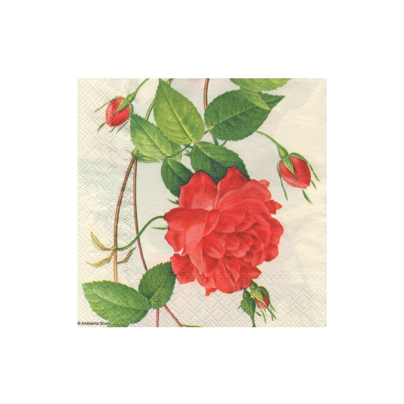 Decoupage napkin ambiente 19-13307295 chinese rose - plasty store