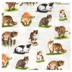 Serwetka do decoupage ambiente 13305830 lovely cats - sklep plastyczny