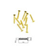 Brass screws for wood 1,6x10mm 10pcs - Szaldlaplastykow.pl