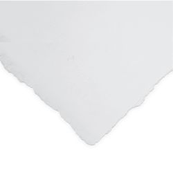 Arches papier akwarelowy 56x76cm 640g 5ark hp satyna bright white