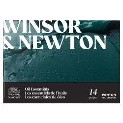 Winsor&amp;Newton winton set of 10 oil paints 12ml with accessories