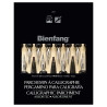 Speedball bienfang 207 calligraphy parchment paper 21.6x27.9cm 50