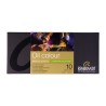 Talens rembrandt landscape oil painting set 10x15ml