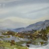 Daniel Smith Watercolour Raffaele Ciccalenis Master Artist Primary Pri