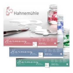 Block Hahnemuhle Harmony watercolour A4 300g 12 pcs