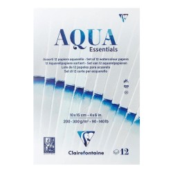 Blok Clairefontaine Aqua Essentials 200-300g 12 różnych arkuszy