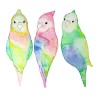 Kuretake Gansai Tambi Granulating Colors, Set of 5 watercolors