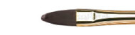 Brushes Gallery FILBERT, Winsor&Newton
